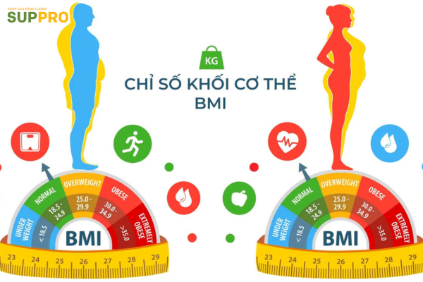 4. Các yếu tố ảnh hưởng đến chỉ số BMI