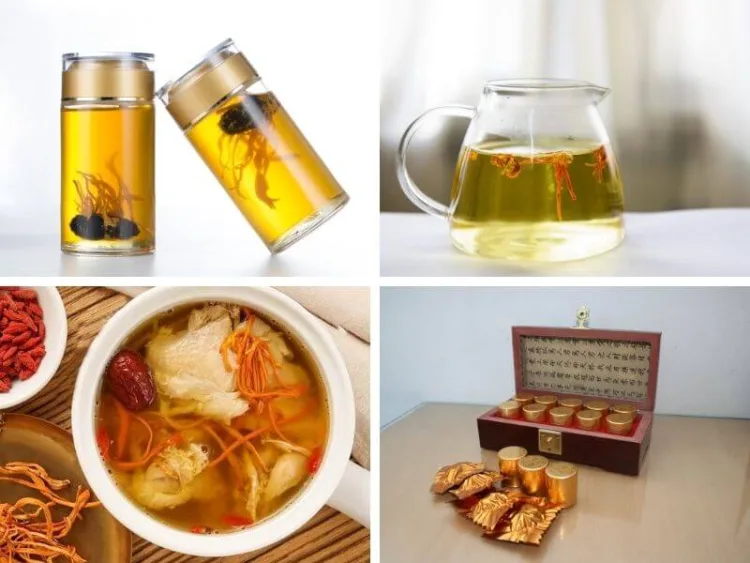 Cách ăn đông trùng hạ thảo