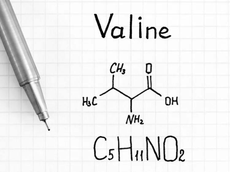 Công thức phân tử của axit amin valine