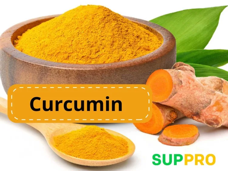 Curcumin là gì?