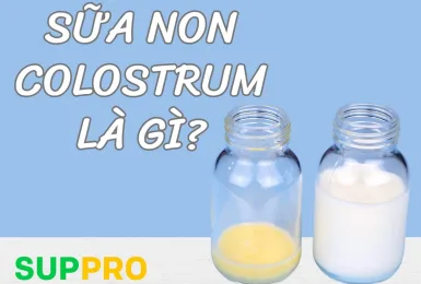 Sữa non Colostrum là gì?