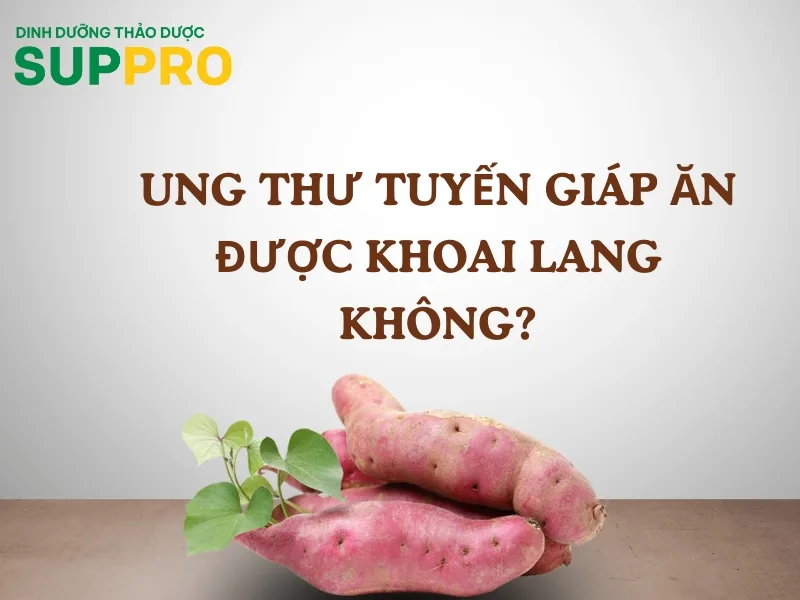 Bệnh nhân ung thư tuyến giáp ăn được khoai lang không?